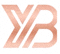 必一·运动BSports官方网站Logo - 蓝色盾牌与运动之星标志